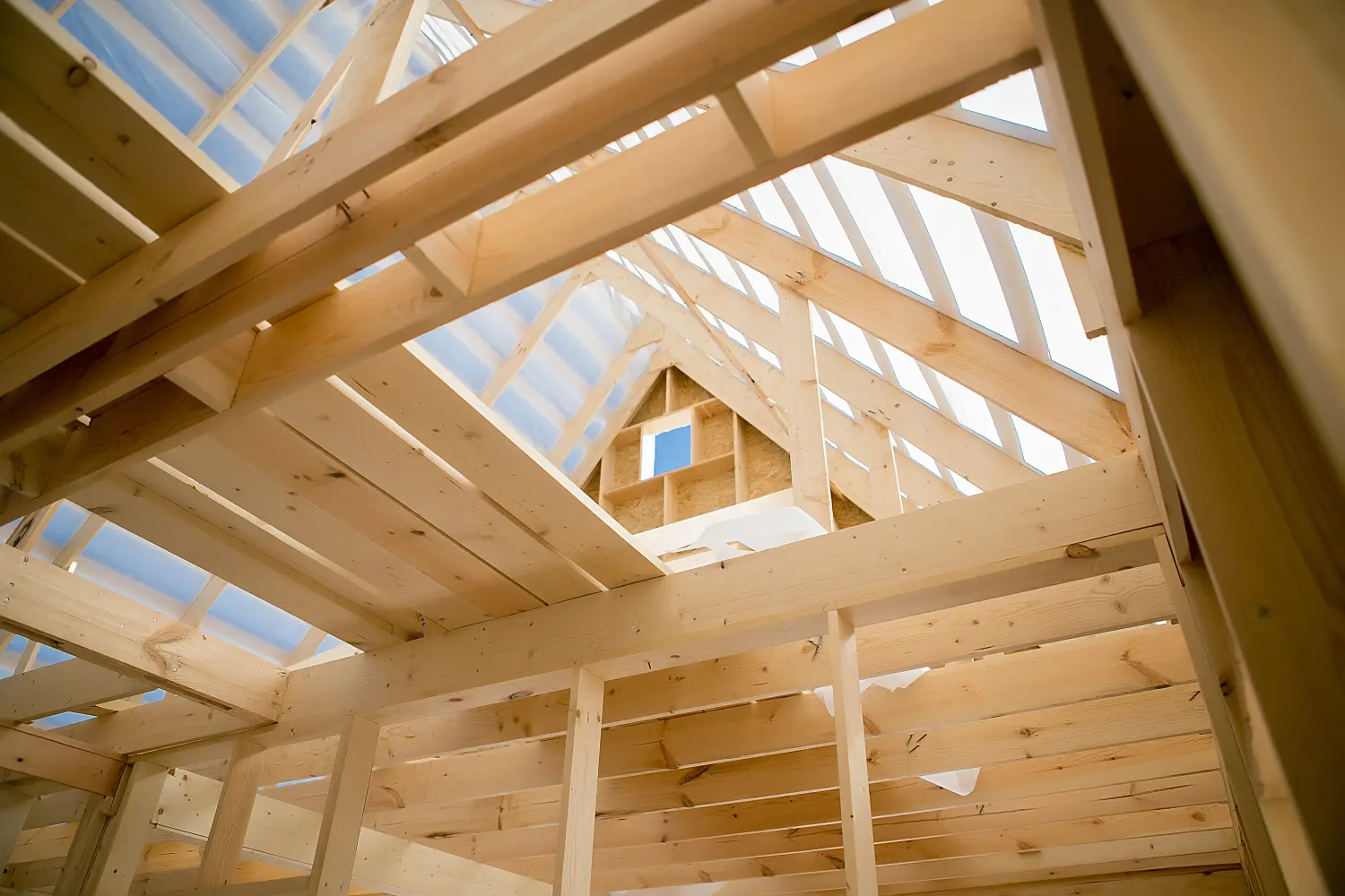 Bau eines Holzhauses